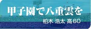 甲子園で八重雲を